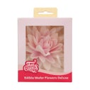 FunCakes Fleurs Comestibles en Azyme Deluxe Pivoine Rose Ombre Large pk/1