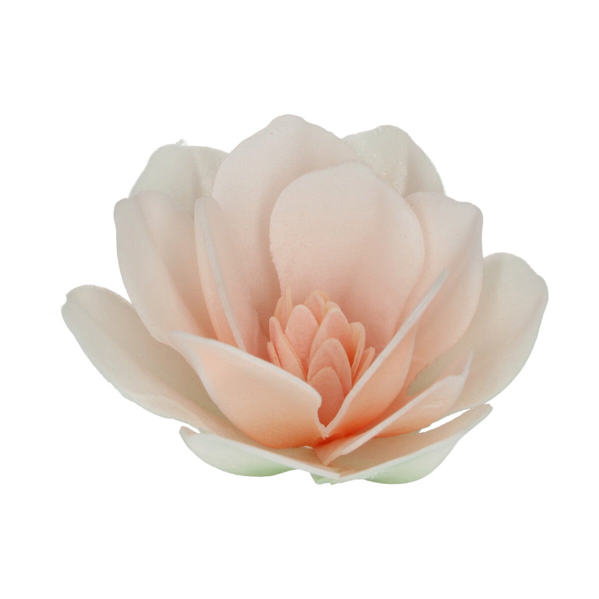 FunCakes Fleurs Comestibles en Azyme Deluxe Magnolia Blanche Large pk/6