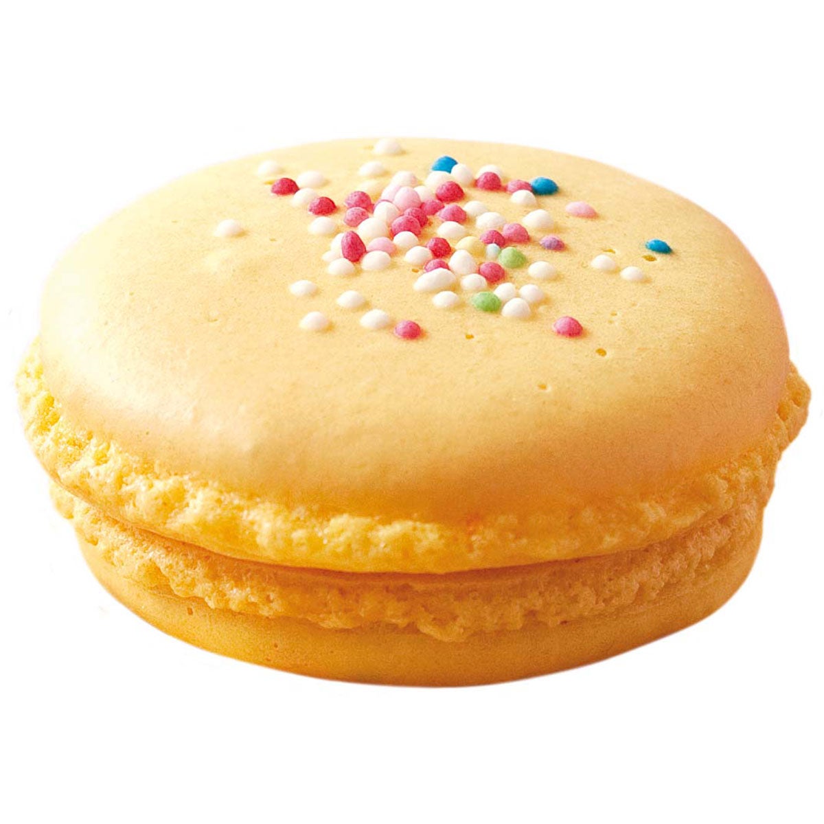 Scrapcooking Pointe cannelée Macaron Piping Tip Ø9mm