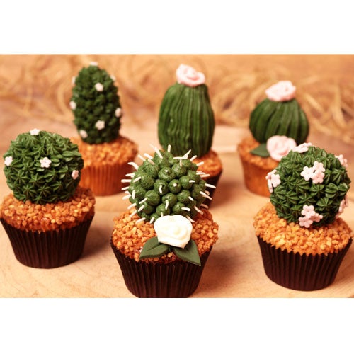 Cactuscupcakes
