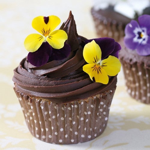 Cupcakes met ganache toef