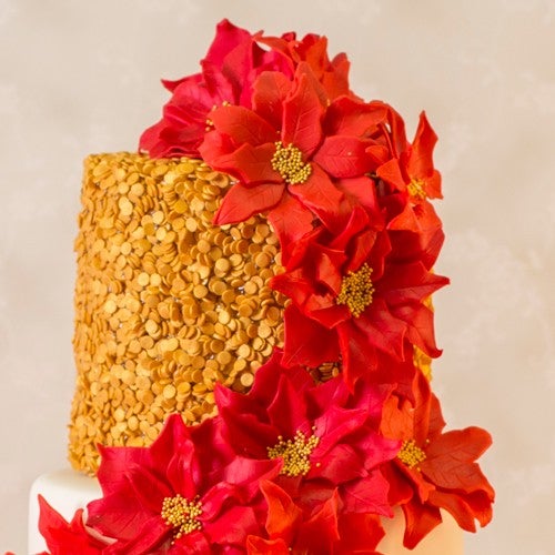 Prachtige taart met Kerststerren
