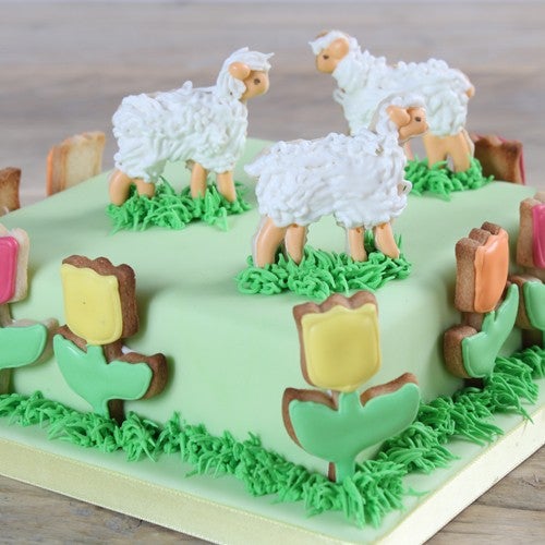Koekjes taart