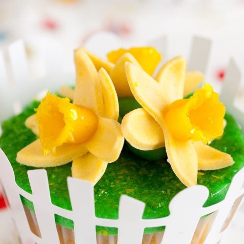 Narcissen Cupcakes
