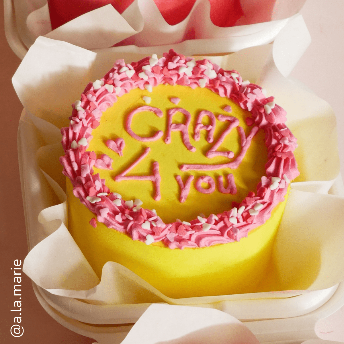 Crazy For You Bento Cake