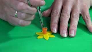 Marsepein bloem -- Narcis maken