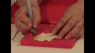 How To Make A Fondant Arum Lily using FMM cutters