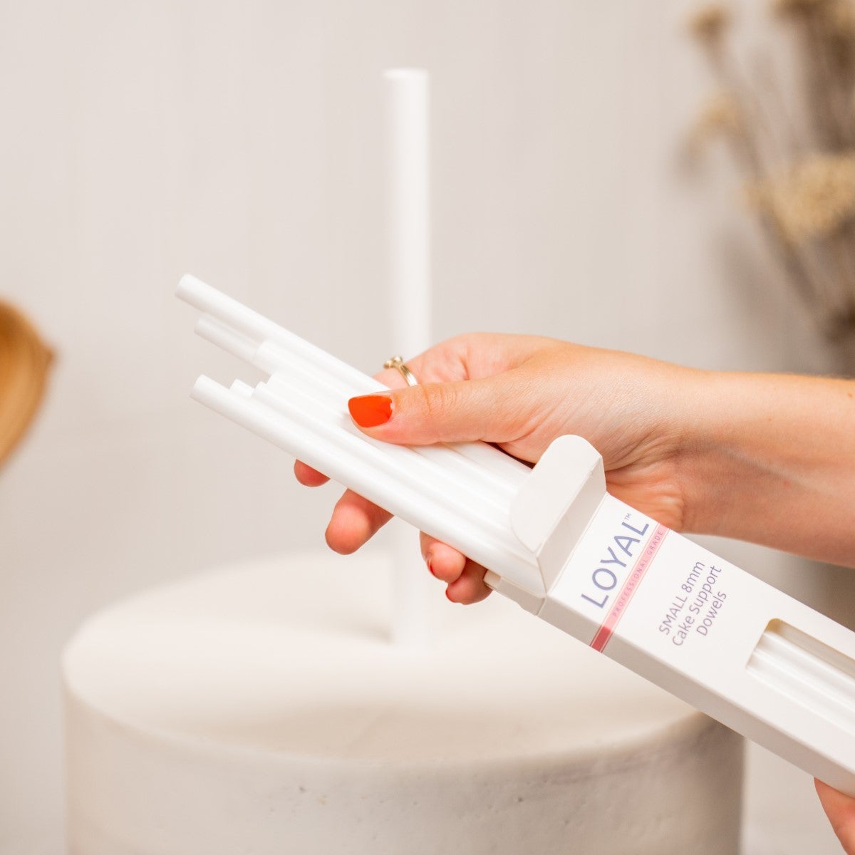 LOYAL Dowels à Gâteau Matériau Solide Petit pk/10
