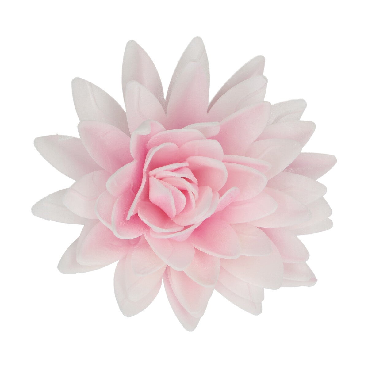 FunCakes Fleurs Comestibles en Azyme Deluxe Pivoine Rose Ombre Large pk/1
