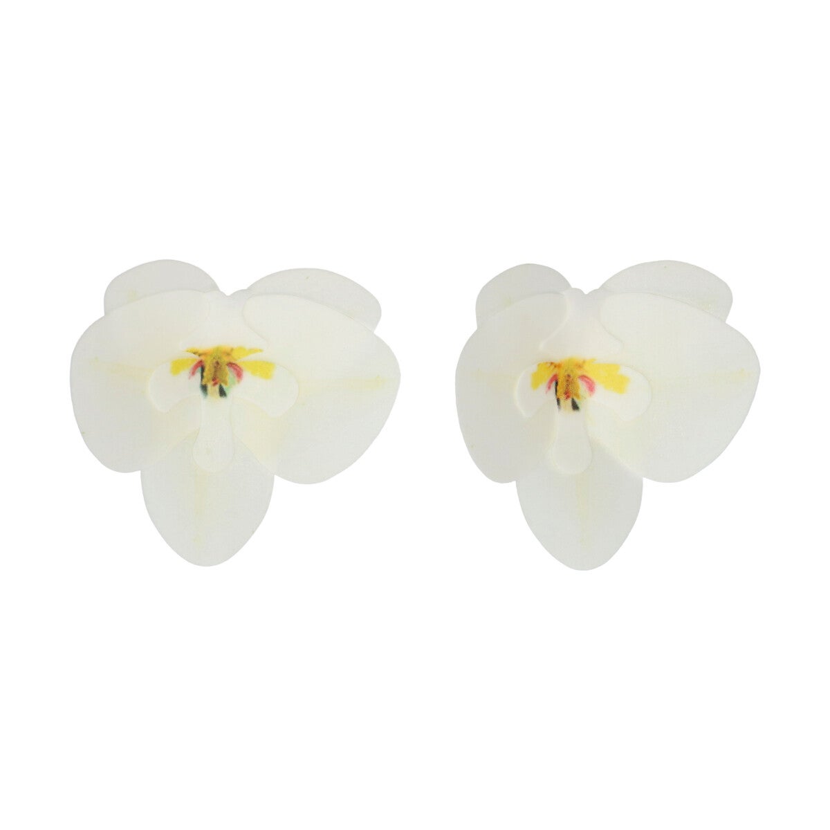 FunCakes Fleurs Comestibles en Azyme Deluxe Orchidée Blanche Medium pk/10