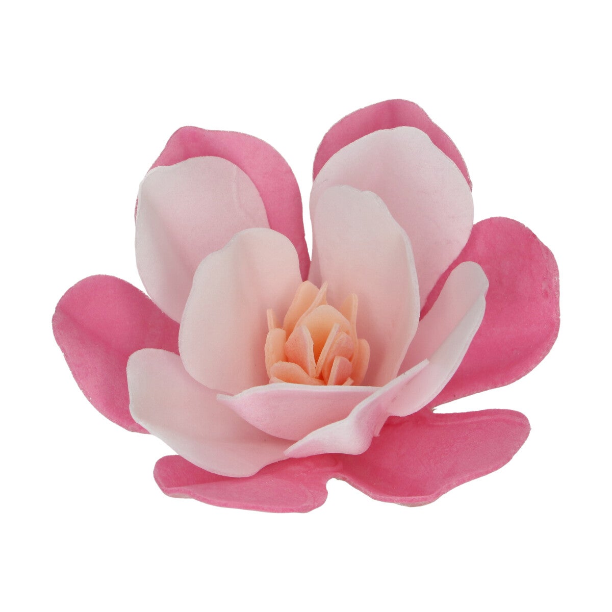 FunCakes Fleurs en Papier Comestibles Deluxe Magnolia Rose Grande pk/6