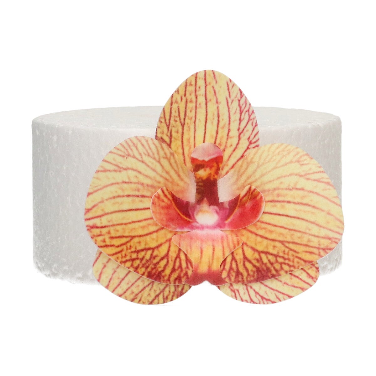 FunCakes Fleurs en Papier Comestibles Deluxe Orchidée Brun Doré Moyenne pk/10