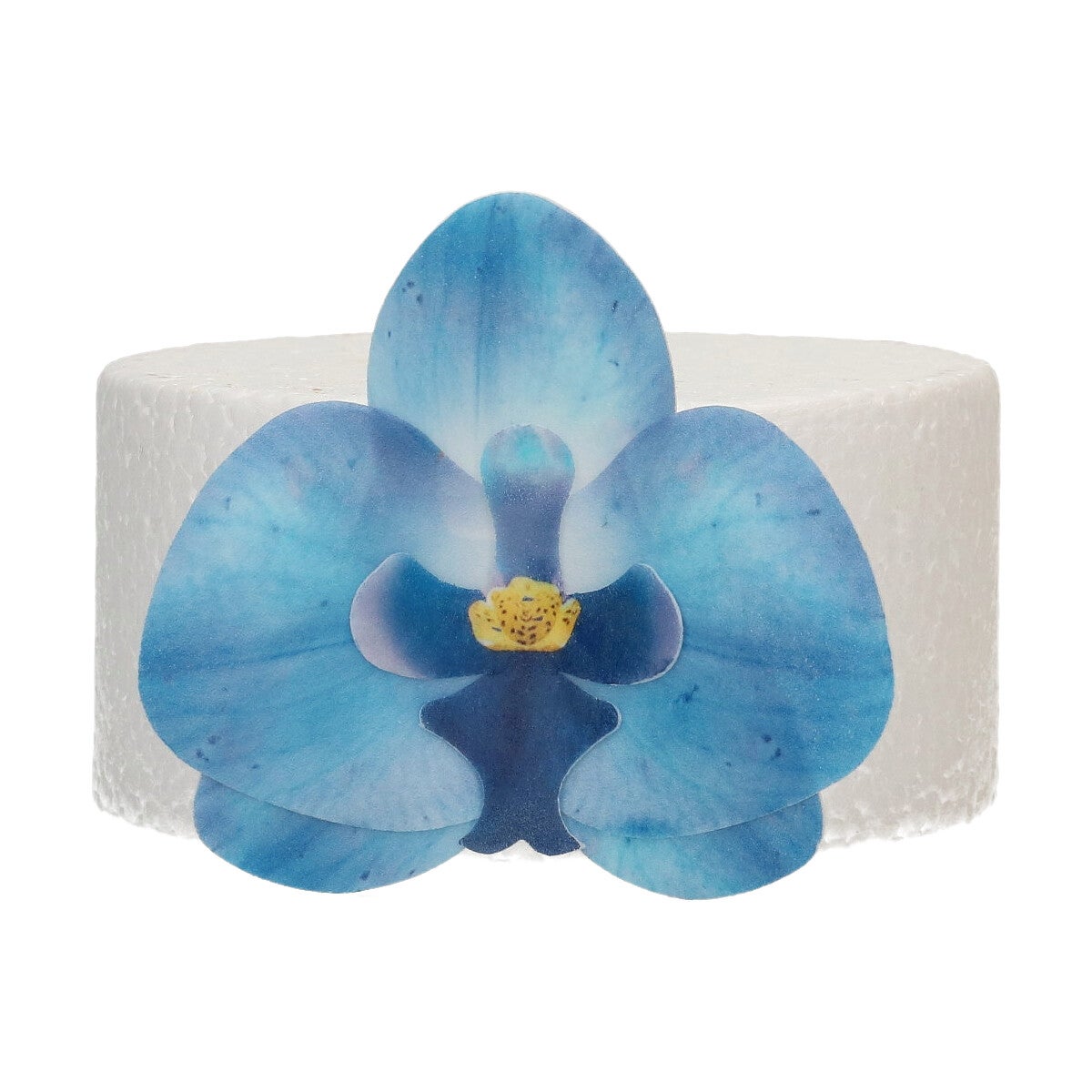 FunCakes Fleurs en Papier Comestibles Deluxe Orchidée Bleue Moyenne pk/10