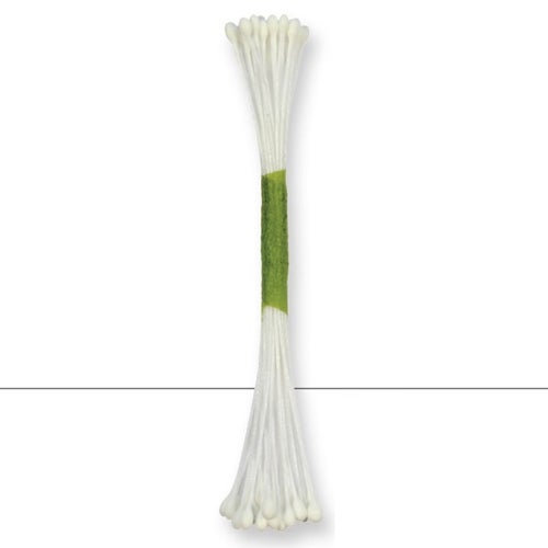JEM Étamines Medium -Blanc - (x50)