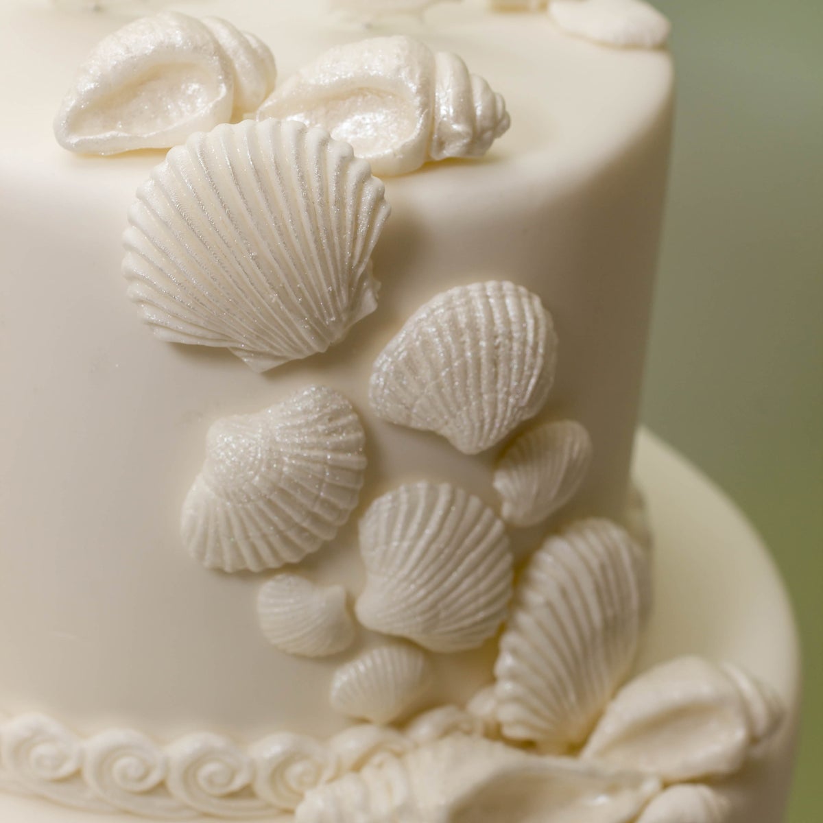 Katy Sue Moule Coquillages