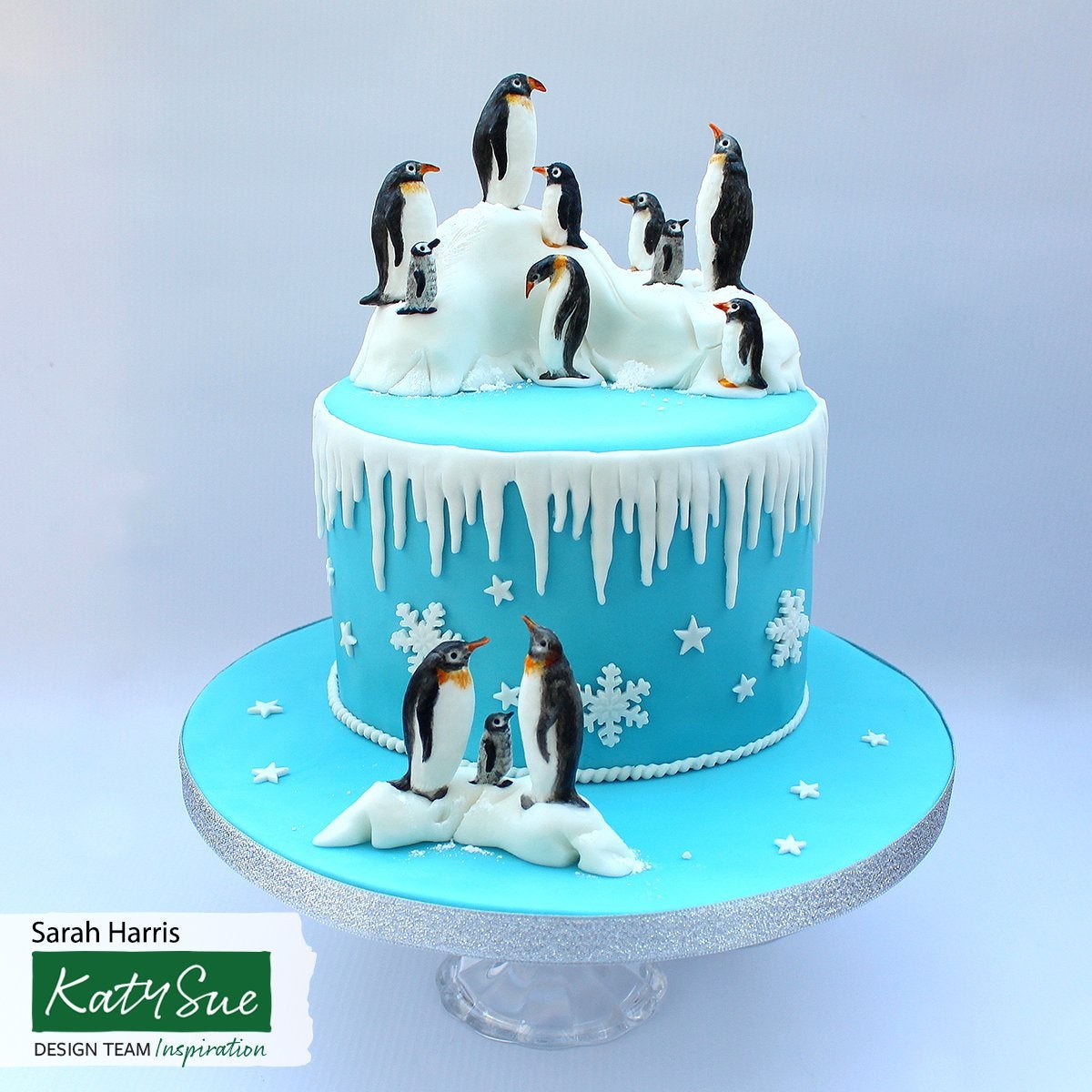 Katy Sue Moule - Cristaux de glace
