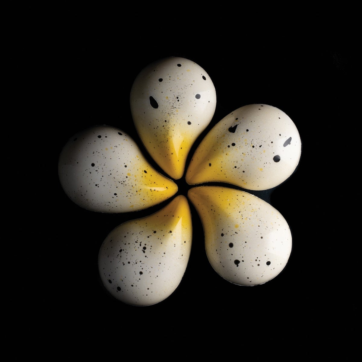 Silikomart Moule à chocolat en Tritan - Goccia-P