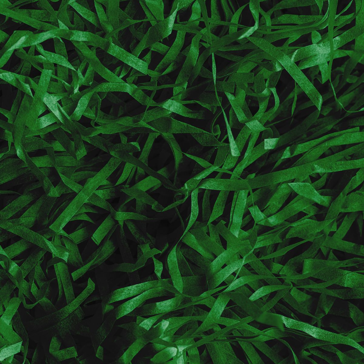 Simply Making Papier Déchiqueté pour Boîte Cadeau Vert Foncé 30 g